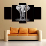 African Elephant 5 Piece Wall Canvas Art