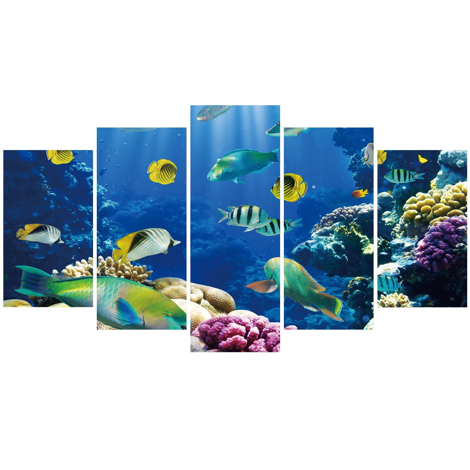 Going Underwater 5 Piece Canvas Wall Art – Vigor and Whim