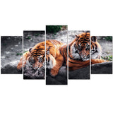 Feasting Tigers 5 Piece Canvas Wall Art