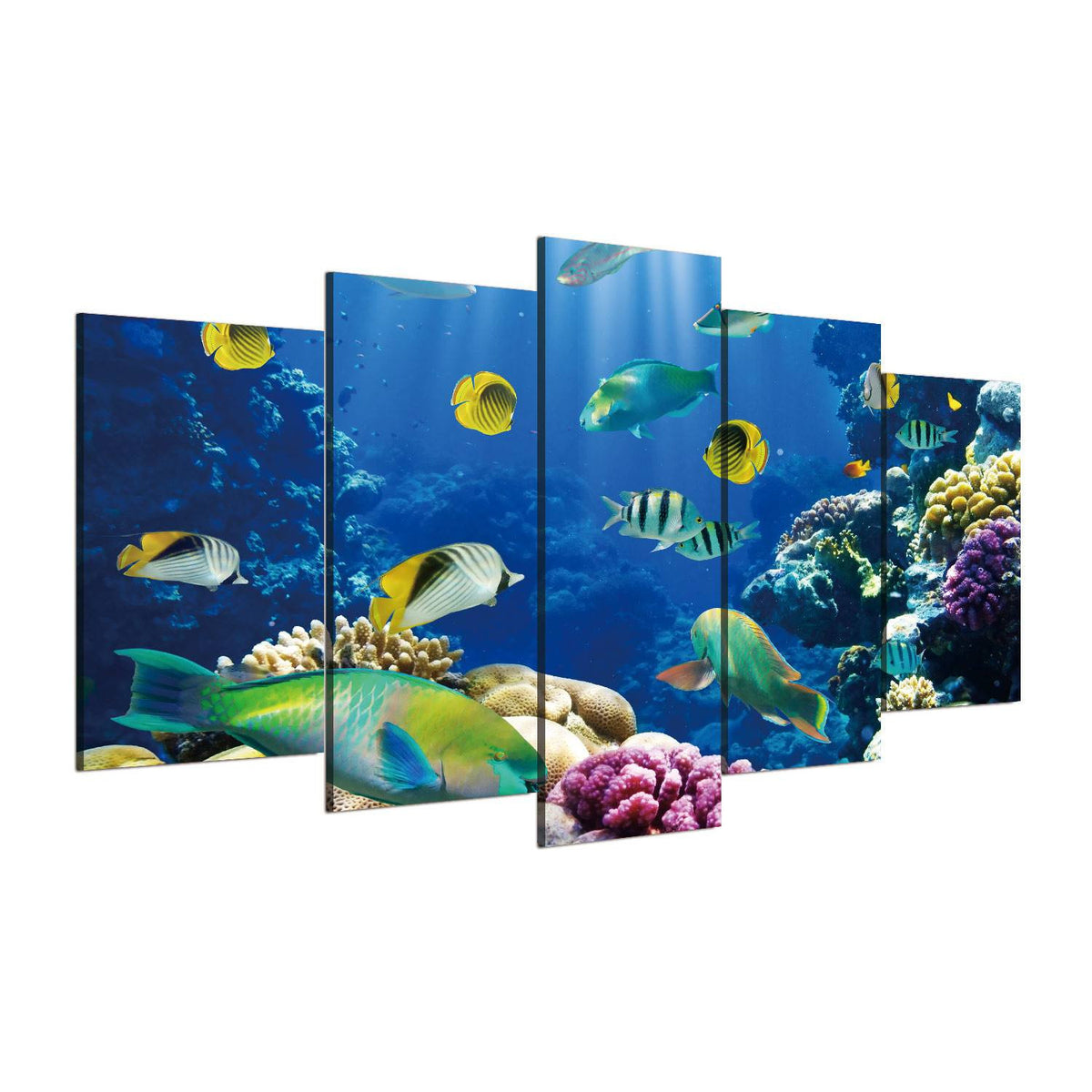 Going Underwater 5 Piece Canvas Wall Art – Vigor and Whim