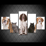 Cats + Dogs Frontal 5 Piece Canvas Wall Art