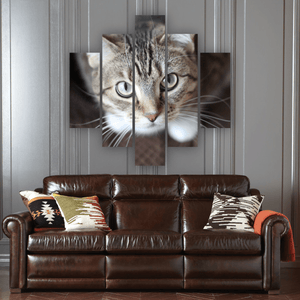 Curious Cat 5 Piece Canvas Wall Art