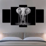 African Elephant 5 Piece Wall Canvas Art
