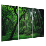 Lush Forest 3 Piece Canvas Wall Art